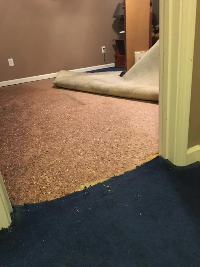 Carpet pad removal revealing water damage during Drying & Dehumidification in Sharonville