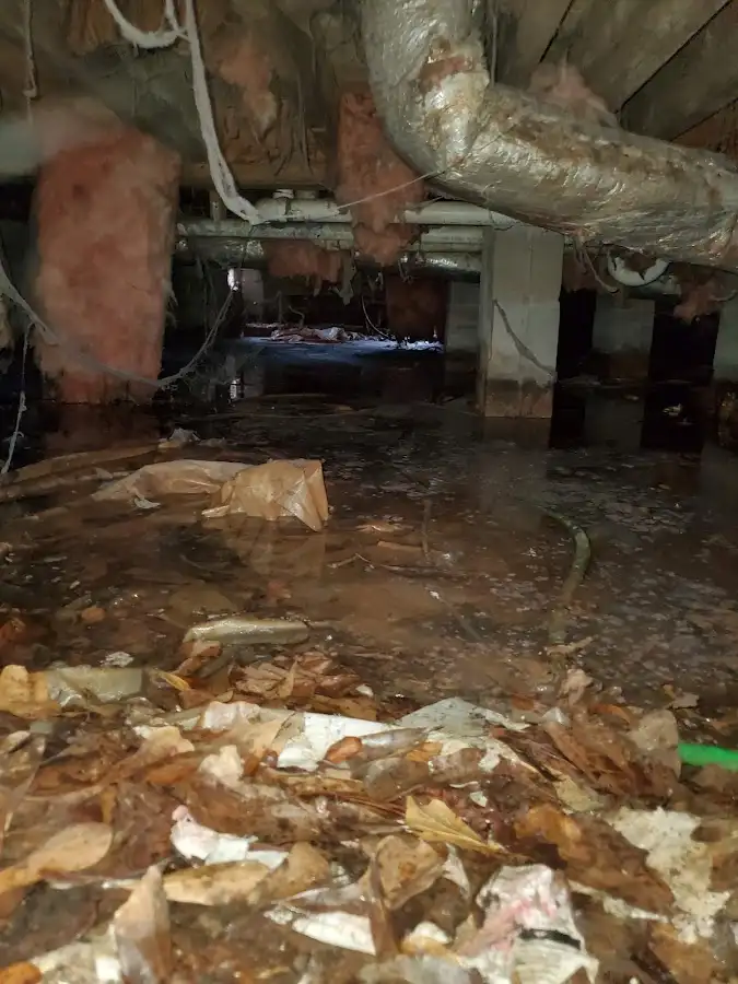 Crawl space flood assessment for Commercial Water Damage Restoration in Sharonville